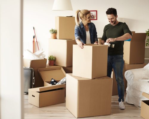Couple packing stuff among plenty of cardboard boxes